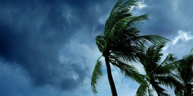 WP Featured Img - Safeimagekit-resized-img-2.png
