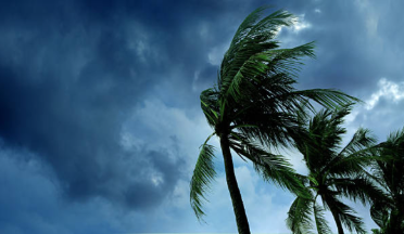 NONPROFIT NEIGHBORS COMBINE EFFORTS TO CARE FOR FLORIDA COMMUNITIES