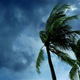 WP Featured Img - Safeimagekit-resized-img-2.png