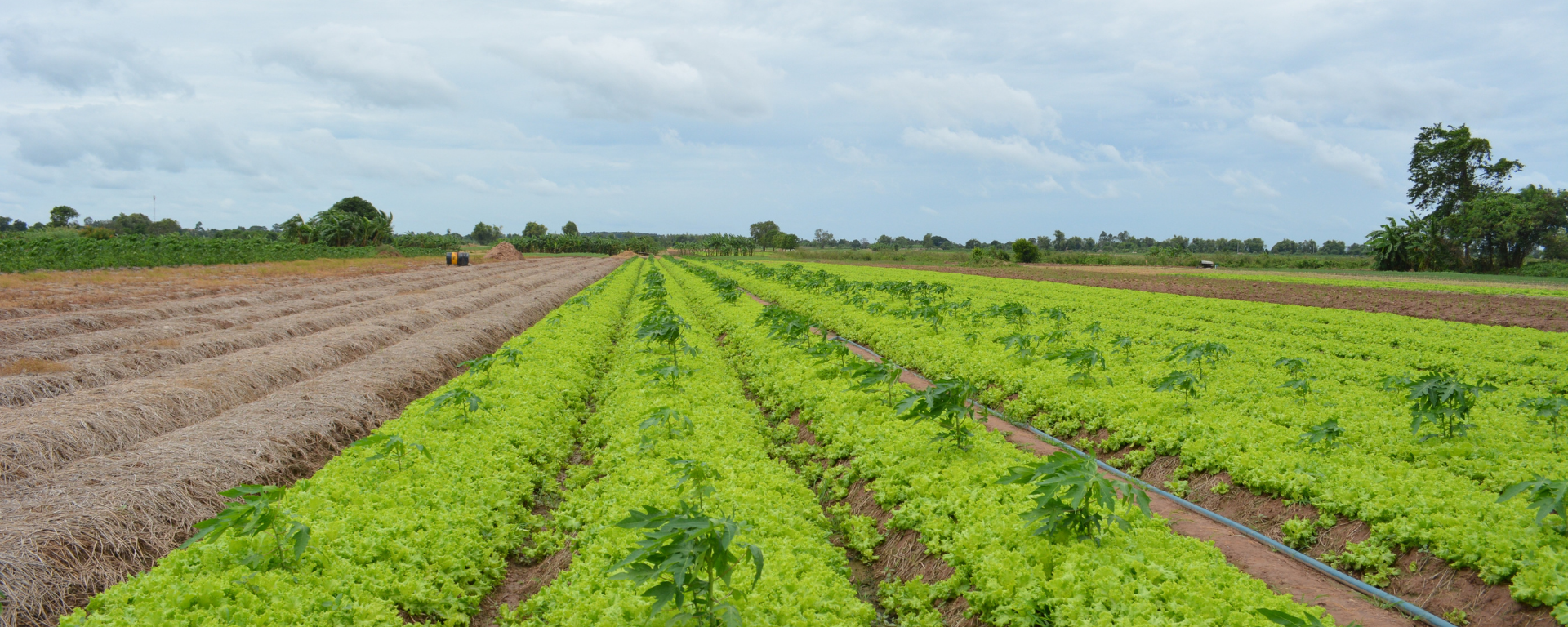 USDA Outreach & Assistance Program banner